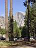 DSC01710.jpg
