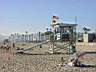 DSC02594.jpg